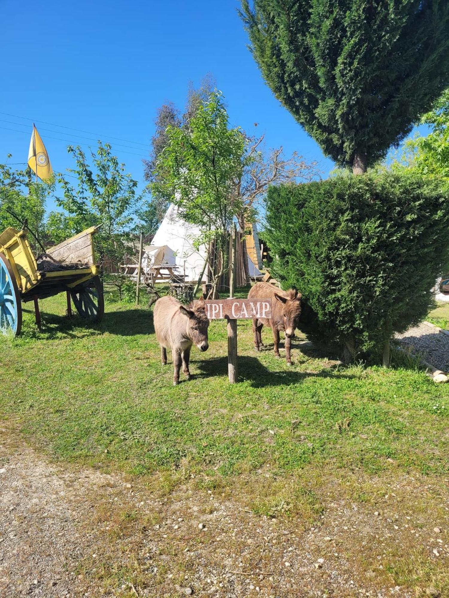 Syl-vallee Western Village