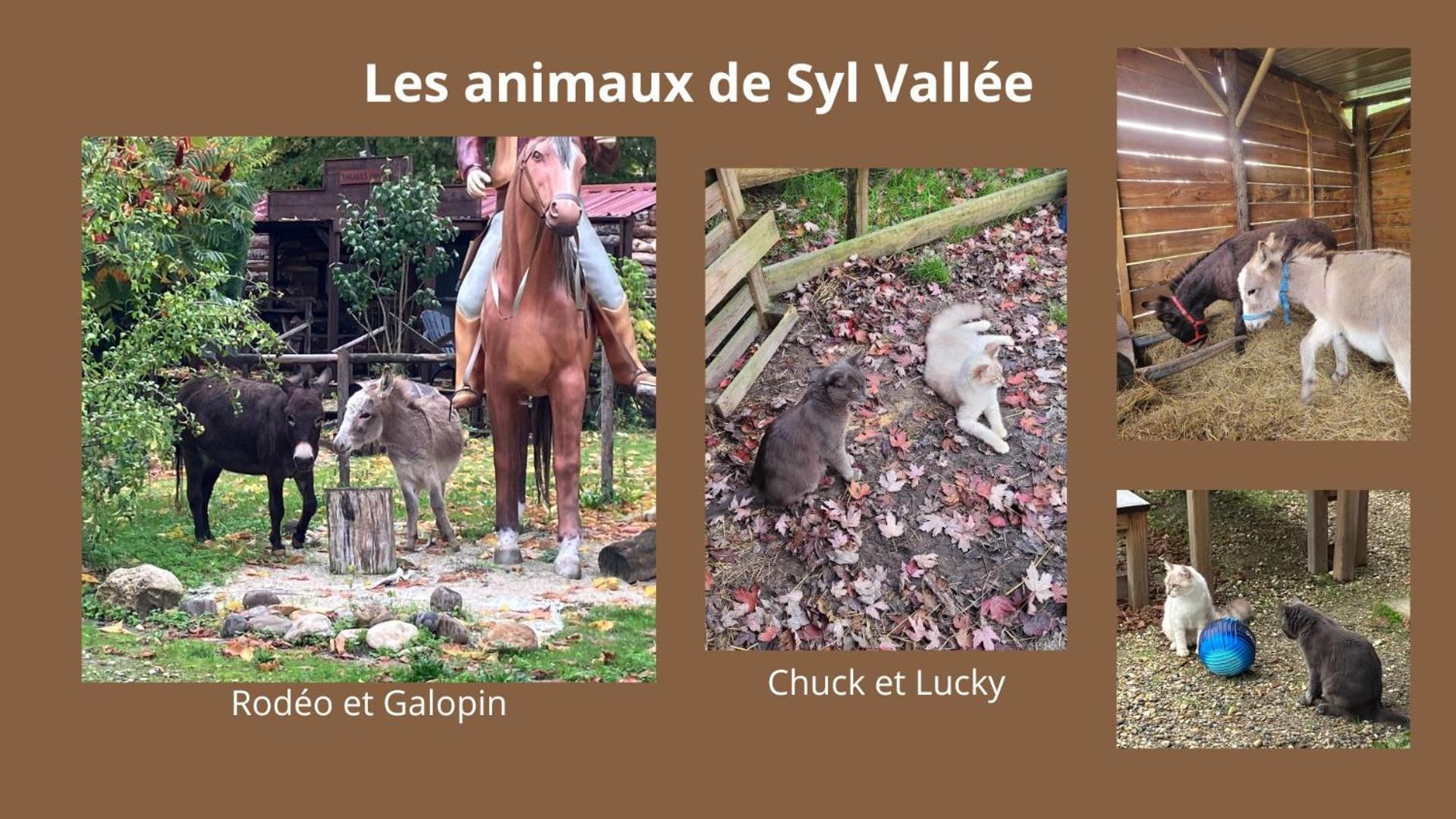 Syl-vallee Western Village Campsite *